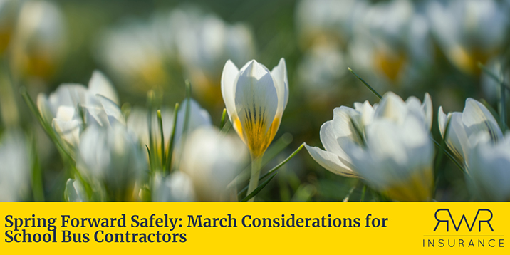 a close-up, shallow-depth-of-field photograph of white and yellow crocus flowers blooming in a field. Below the photo is a solid yellow banner with the title "Spring Forward Safely: March Considerations for School Bus Contractors" on the left and the "RWR Insurance" logo on the right. - https://www.newyorkschoolbusinsurance.com/